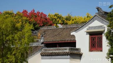 夏天中式建筑屋檐绿植古风意境
